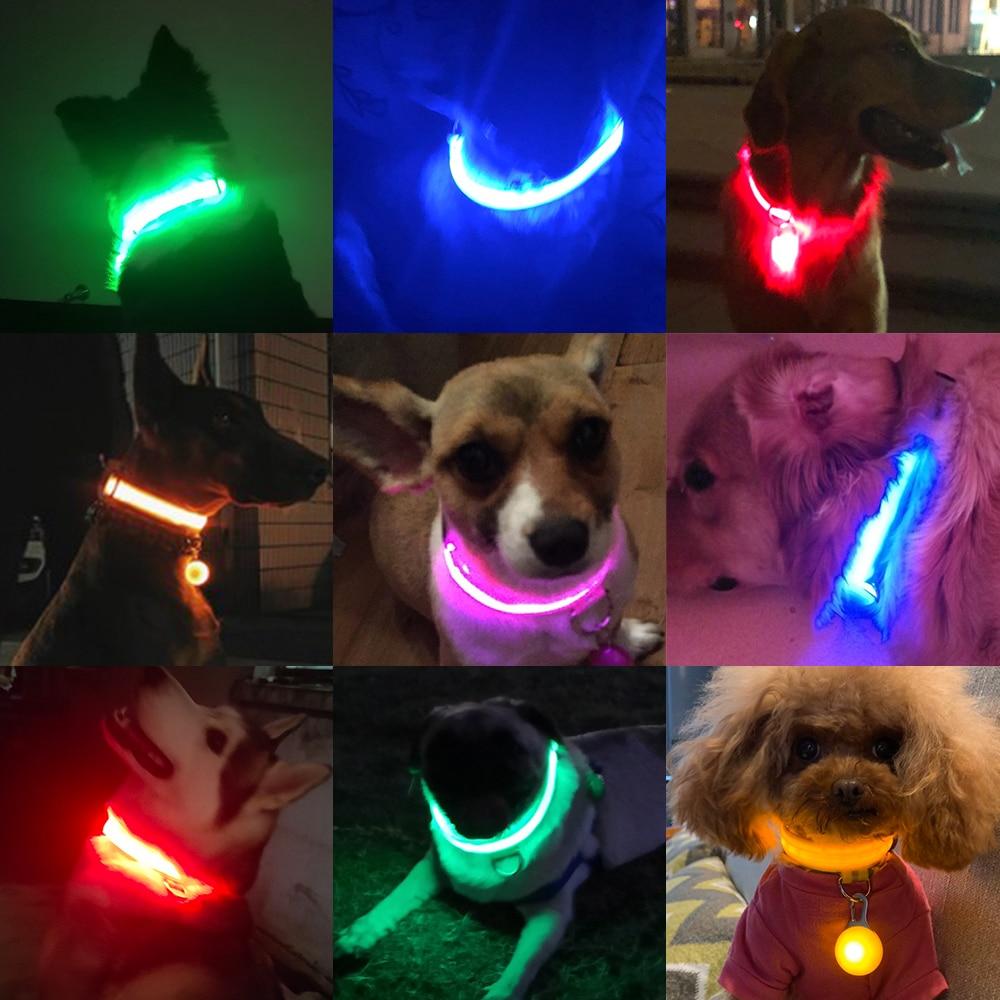 LedCollar™ - Collier à LED rechargeable pour chien - Ami canin